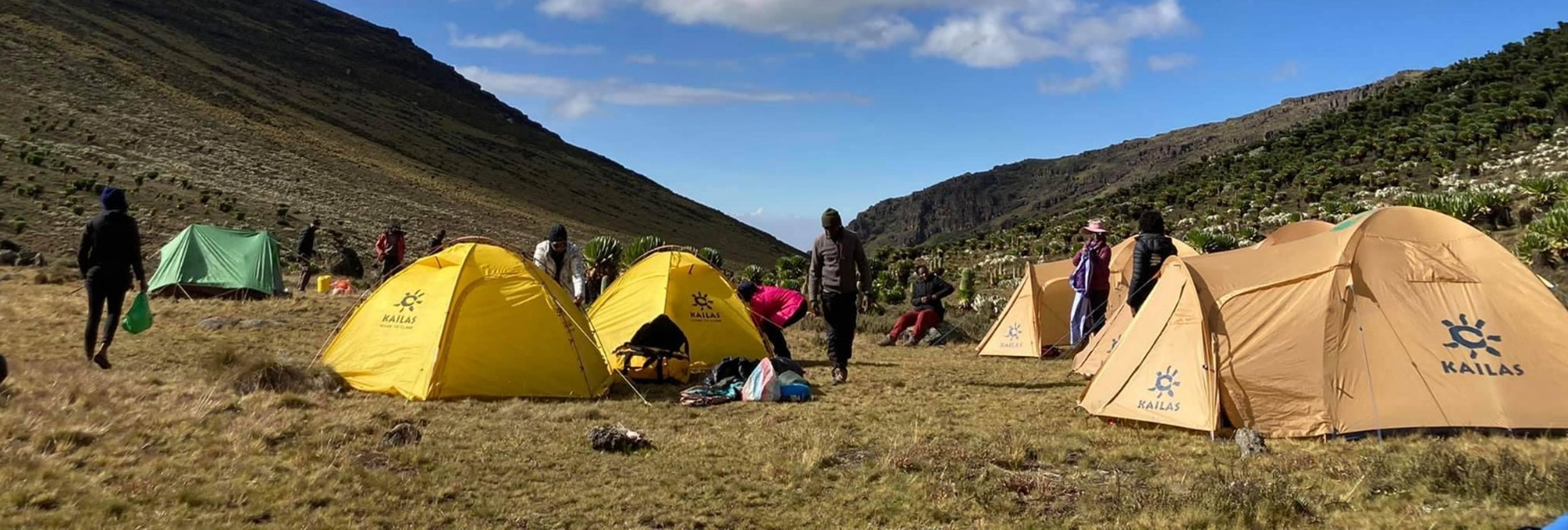 Camping with outdoor circuits 
